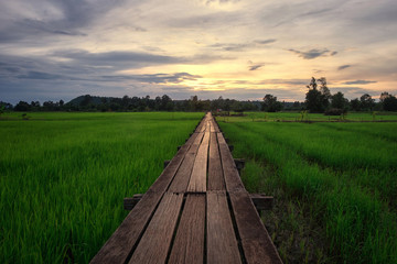 Wooden bridge 100 years old, Khok grachai, Khon Buri in Nakhon Ratchasima at Thailand.