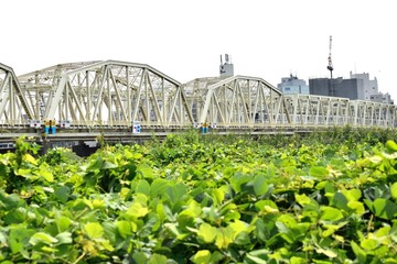 荒川河川敷 荒川橋梁を走る日比谷線