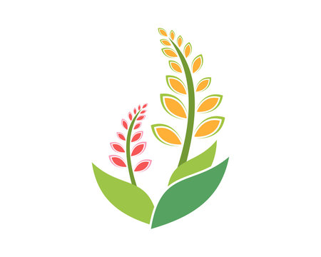 barley wheat weeds plants nature icon image vector
