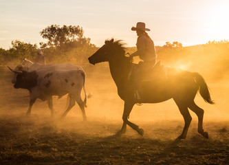 Obraz premium Mustering, Kimberley, Western Australia
