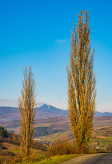 Fototapeta premium countryside road in autumnal mountainous area. beautiful view of high mountain in the distance in fine forenoon weather