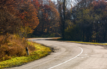 winding road through the forest with red foliage. beautiful autumn weather