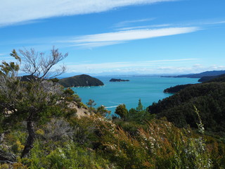 Obraz premium Blick aufs Meer im Abel Tasman Park, Neuseeland 