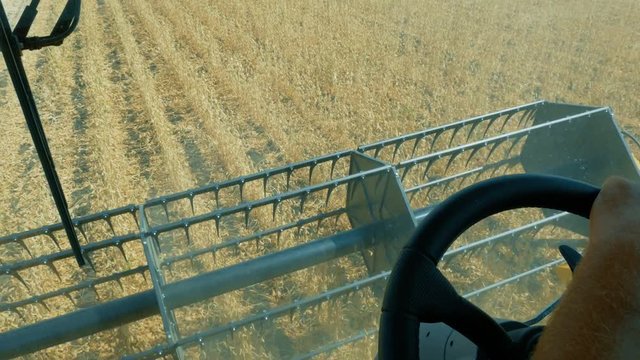 Soy. Harvesting soybeans . Seed harvester threshes soybeans seeds for future sowing