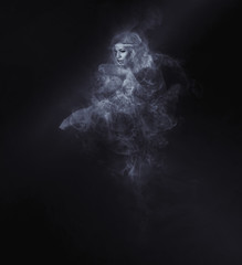 Dancer from smoke on the dark background