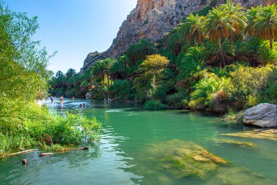 View of Kourtaliotis river and canyon near Preveli beach at Libyan sea, river and palm forest, southern Crete, Greece