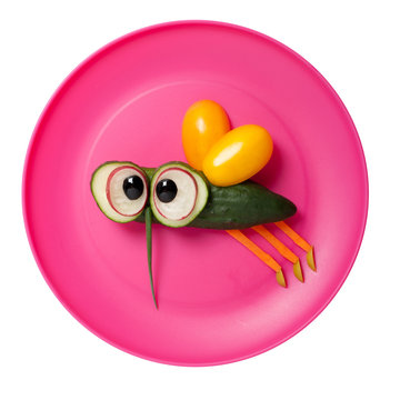 Fly made of cucumber on pink plate
