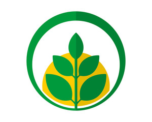 circle green leaf plants icon image vector