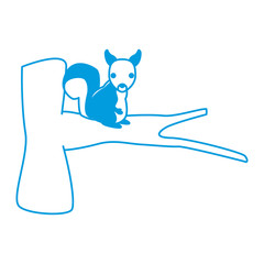 Squirrel animal cartoon icon vector illustration graphic design