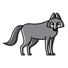Wolf cartoon animal icon vector illustration graphic design