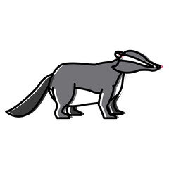 Skunk animal cartoon icon vector illustration graphic design