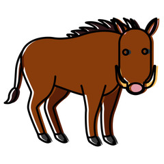 Jabali animal cartoon icon vector illustration graphic design