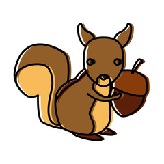 Squirrel animal cartoon icon vector illustration graphic design