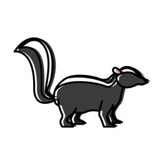 Skunk animal cartoon icon vector illustration graphic design