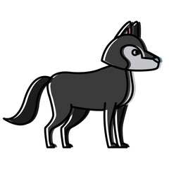 Wolf cartoon animal icon vector illustration graphic design