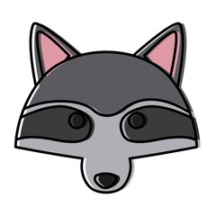 Racoon animal cartoon icon vector illustration graphic design