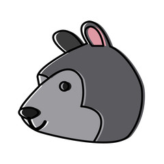 bear cartoon animal icon vector illustration graphic design