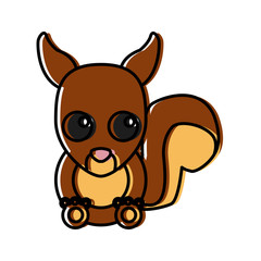 Squirrel animal cartoon icon vector illustration graphic design
