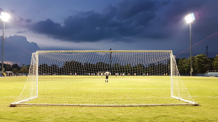 Fototapeta premium Football goal with the white mesh on a green lawn in the evening