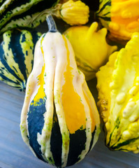 Small Colorful Gourds