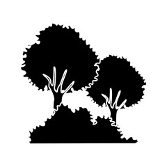 Beautiful forest landscape icon vector illustration graphic design
