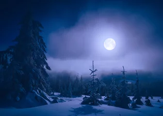 Fotobehang Helder maanlicht in een bergdal © Bashkatov