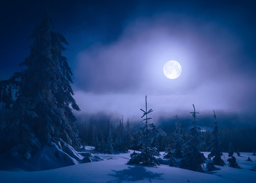 Bright moonlight in a mountain valley