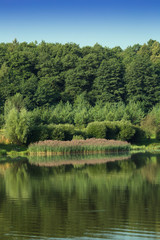 landscape nature pond