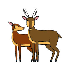 Deer animal cartoon icon vector illustration graphic design
