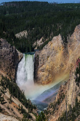 Lower Falls of the Yellowstone