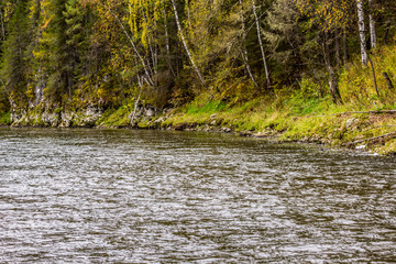 Journey on foot through uncharted roads of a national Park. Summer in the forest. Panorama of the natural landscape. The bend of the river and wild nature of Russia. 