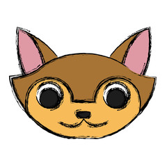 Cat animal cartoon icon vector illustration graphic design