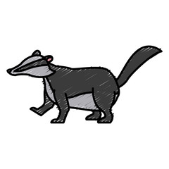 Skunk animal cartoon icon vector illustration graphic design