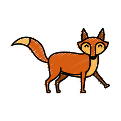 Fox animal cartoon icon vector illustration graphic design