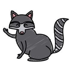 Racoon animal cartoon icon vector illustration graphic design