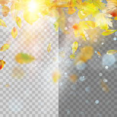 Autumn concept template with copy space. EPS 10 vector