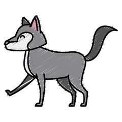 Wolf cartoon animal icon vector illustration graphic design