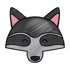 Racoon animal cartoon icon vector illustration graphic design