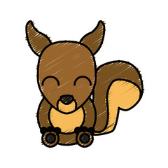 Squirrel animal cartoon icon vector illustration graphic design