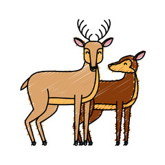 Deer animal cartoon icon vector illustration graphic design