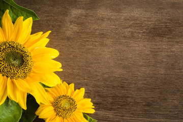 Beautiful yellow sunflowers on the brown wooden table. Greeting card. Empty place for a text or web background. Top view.
