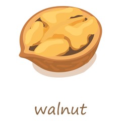 Walnut icon, isometric 3d style