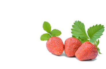 Three fresh strawberries on a white background.
