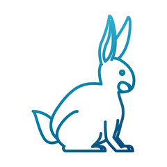 Rabbit animal cartoon icon vector illustration graphic design
