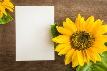 White blank greeting card with big, beautiful yellow sunflower on the brown wooden table. Empty place for a text. Top view.