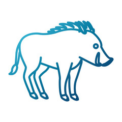 Jabali animal cartoon icon vector illustration graphic design