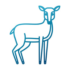 Deer animal cartoon icon vector illustration graphic design