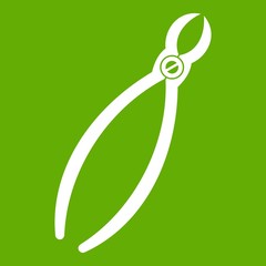 Tooth extraction instrument icon green