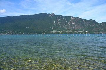 le lac du Bouget