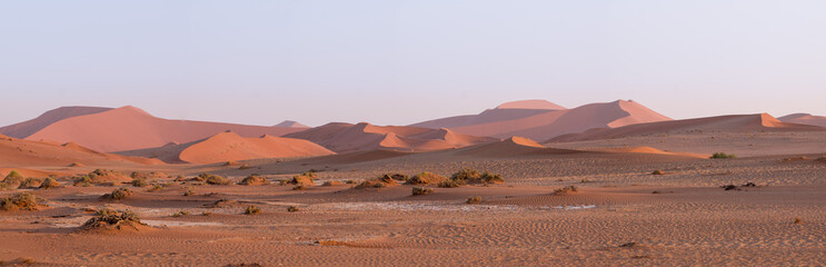 Fototapeta na wymiar panorama of the dunes, Sossusvlei, Namibia